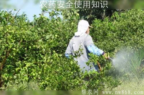 農藥安全使用知識——農藥使用過程中的失誤與對策 農藥安全使用知識——農藥使用過程中的失誤與對策
