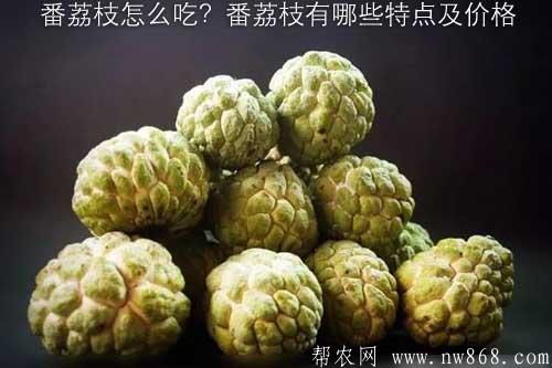 番荔枝怎么吃?番荔枝有哪些特點(diǎn)及價(jià)格 番荔枝怎么吃?番荔枝有哪些特點(diǎn)及價(jià)格