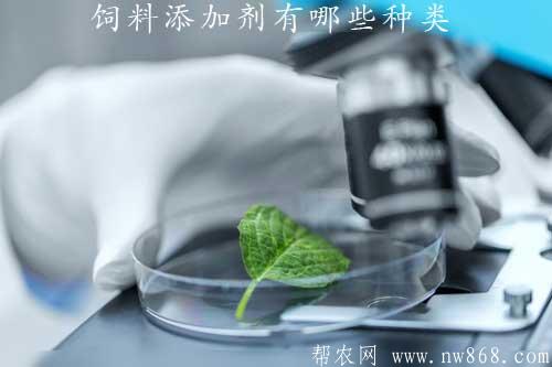 飼料添加劑有哪些種類？如何選用才能取得好的效果