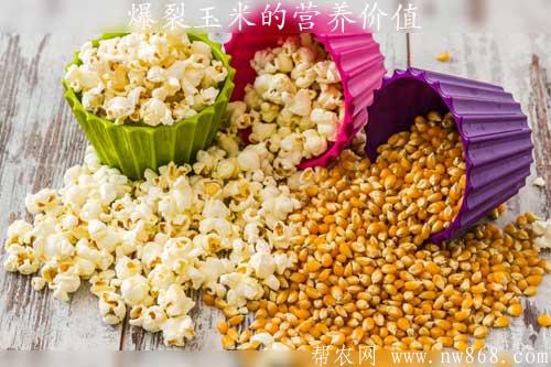 爆裂玉米的營養(yǎng)價(jià)值及種植管理方法
