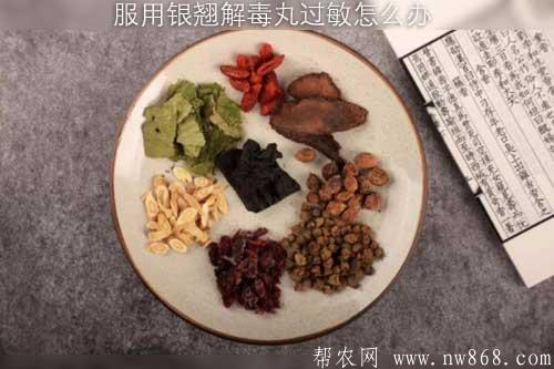 服用銀翹解毒丸過敏怎么辦