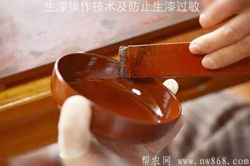 生漆操作技術及防止生漆過敏 生漆操作技術及防止生漆過敏