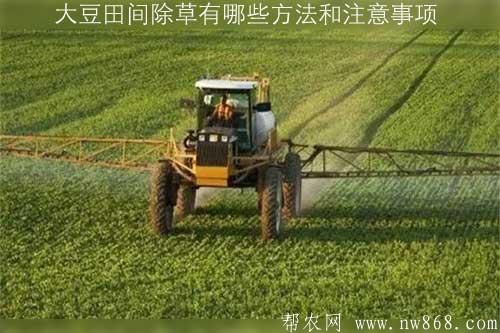 大豆田間除草有哪些方法和注意事項(xiàng) 大豆田間除草有哪些方法和注意事項(xiàng)
