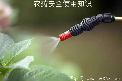農藥安全使用知識——農藥使用過程中的失誤與對策