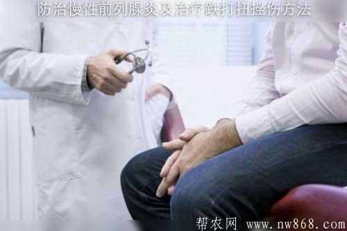 防治慢性前列腺炎及治療跌打扭挫傷方法