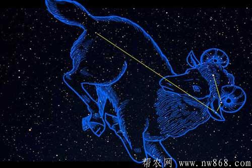 十二星座是哪十二個?附十二星座的月份表供參考 十二星座是哪十二個?附十二星座的月份表供參考