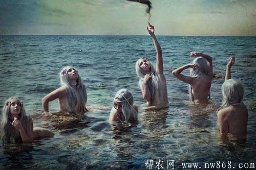 美人魚生活在哪里?美人魚真的存在嗎 美人魚生活在哪里?美人魚真的存在嗎