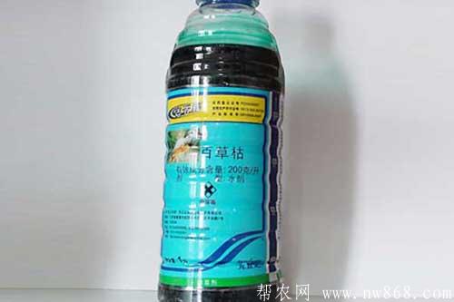 百草枯是什么東西?使用百草枯有哪些注意事項 百草枯是什么東西?使用百草枯有哪些注意事項