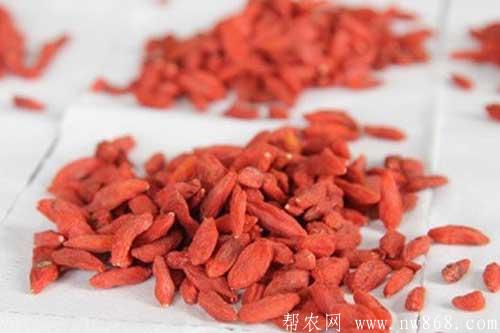 枸杞子的作用與功效有哪些?教你一分鐘了解枸杞子 枸杞子的作用與功效有哪些?教你一分鐘了解枸杞子