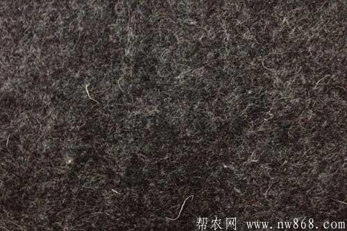 利用廢畜毛制作毛氈技術 利用廢畜毛制作毛氈技術