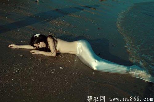 美人魚生活在哪里?美人魚真的存在嗎 美人魚生活在哪里?美人魚真的存在嗎