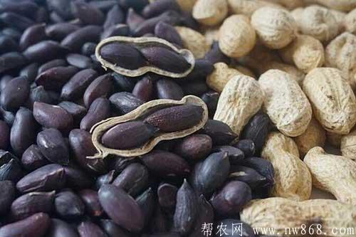 談談未來十大暴利種植,或許就有適合你的項目 談談未來十大暴利種植,或許就有適合你的項目