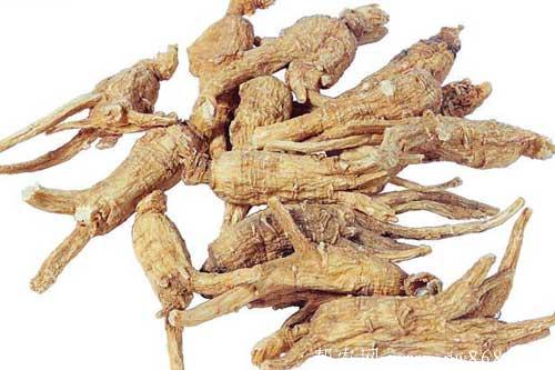 當歸的功效與作用是什么?食用當歸需要注意哪些問題 當歸的功效與作用是什么?食用當歸需要注意哪些問題