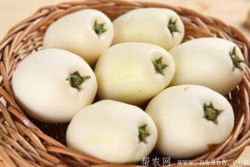 人參果怎么吃比較好|人參果還有這樣的吃法 人參果怎么吃比較好|人參果還有這樣的吃法