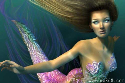美人魚生活在哪里？美人魚真的存在嗎
