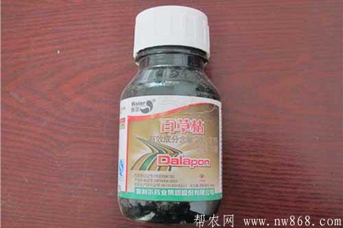 百草枯是什么東西？使用百草枯有哪些注意事項