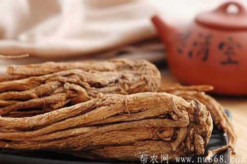 當歸的功效與作用是什么？食用當歸需要注意哪些問題