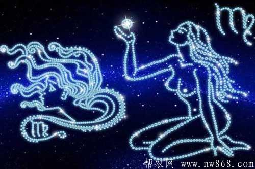 十二星座是哪十二個?附十二星座的月份表供參考 十二星座是哪十二個?附十二星座的月份表供參考