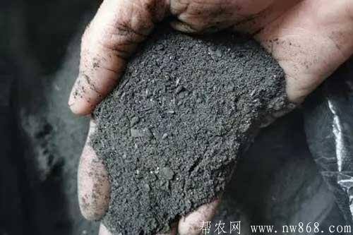 農家肥——草木灰開發和應用 農家肥——草木灰開發和應用