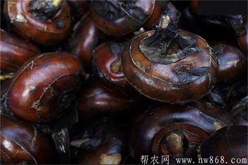 荸薺價(jià)格是多少錢(qián)一斤？種植荸薺賺錢(qián)嗎？