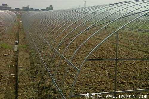 建一畝地溫室大棚需要多少錢?用什么材料? 建一畝地溫室大棚需要多少錢?用什么材料?