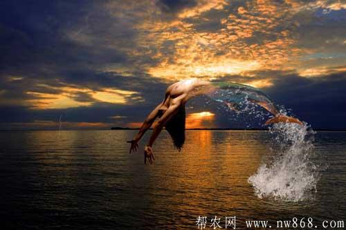 美人魚的童話故事|美人魚的民間傳說 美人魚的童話故事|美人魚的民間傳說
