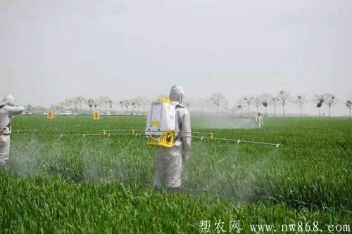 簡易農用殺蟲劑和石硫殺菌劑制作方法