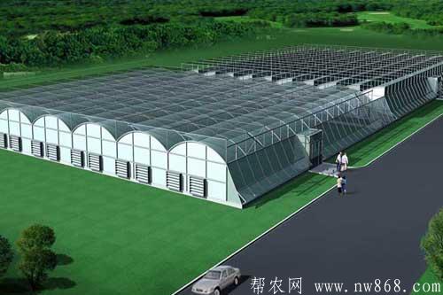 建一畝地溫室大棚需要多少錢？用什么材料？