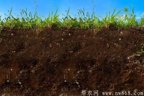 土壤調濕劑和SH土壤添加劑配方