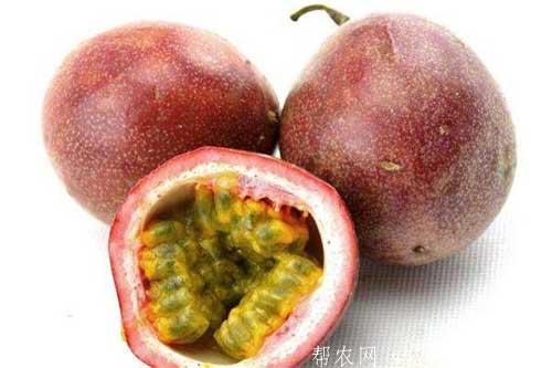 百香果怎么吃|百香果的正確吃法