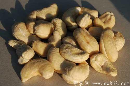 腰果的功效作用和腰果的食用方法