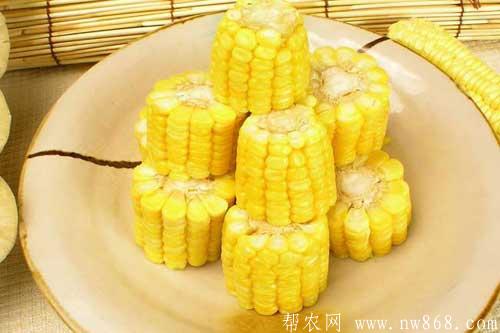 經常吃玉米的人會不會發胖 經常吃玉米的人會不會發胖