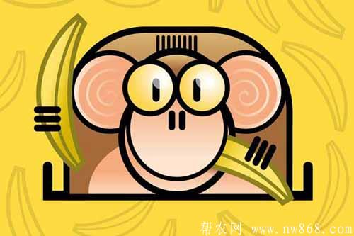 男女屬猴的人分別和什么屬相最配