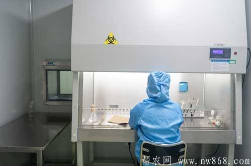 免費或小投資辦廠的項目有哪些？介紹4個不愁銷路的項目！