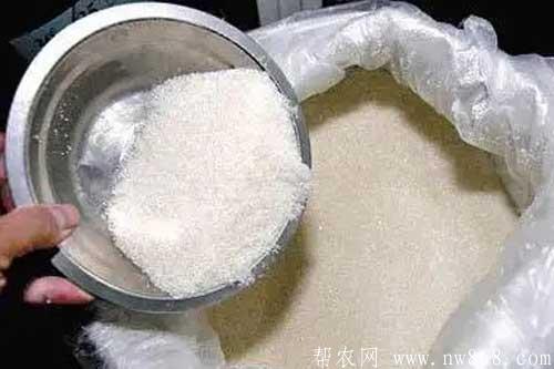 養豬經驗——白糖喂豬好處多
