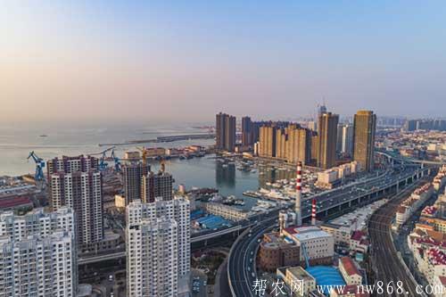 14天解封還是28天解封|疫情解封的標準是什么