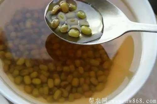 介紹八種簡易消暑飲料的配方和制作方法