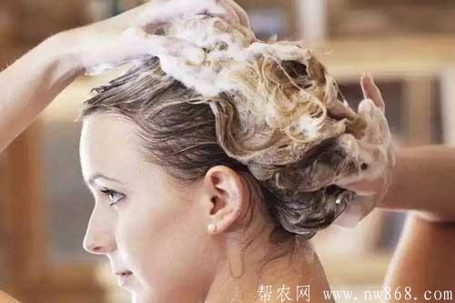 角朊護發香波配方及制作方法