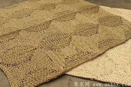 利用玉米皮或馬藺草編織地毯技術