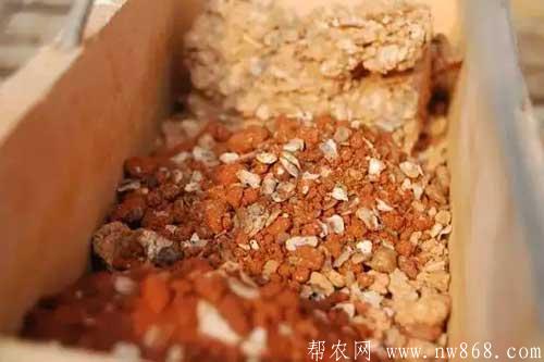保健砂對鴿子養殖有哪些作用