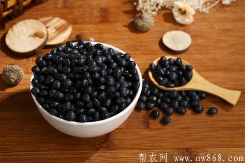 黑豆治療白發(fā)嗎？白頭發(fā)是什么原因引起的？附詳情介紹！
