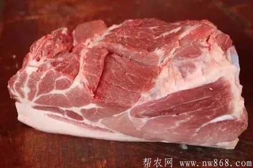 2019年的時候豬肉價格為什么這么貴？