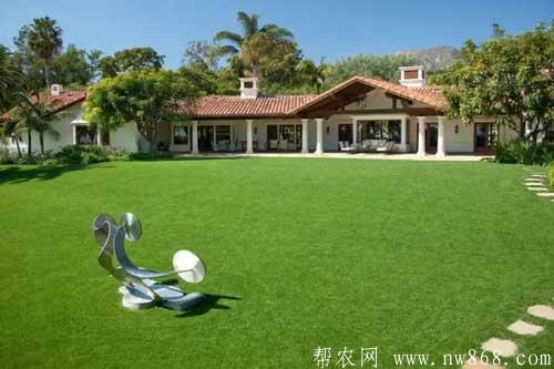 草坪種植和鋪設方法