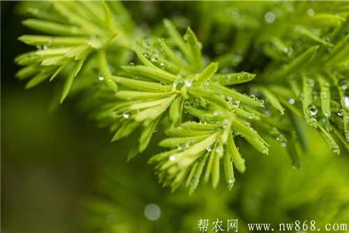 5月是什么季節(jié)？進(jìn)入5月需要注意什么？