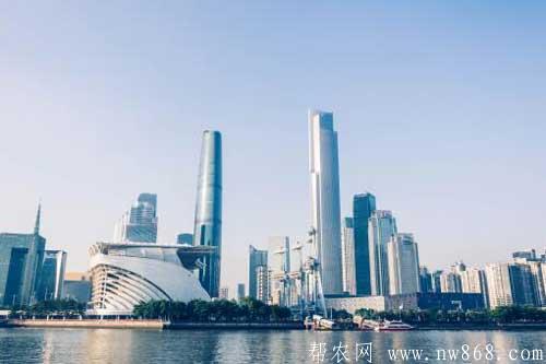 大灣區指的是哪些地區？什么是大灣區？介紹大灣區城市詳細名單