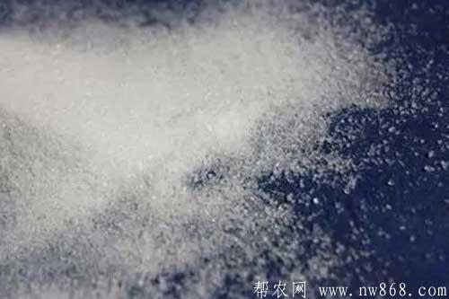 介紹一種葡萄糖快速結晶的方法