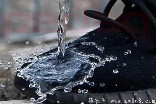 防水鞋油及地板蠟的配方和制作方法