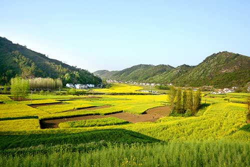 2022年中央一號文件要點速讀|一號文件都有哪些重點工作內容