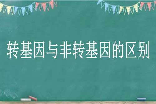 轉基因與非轉基因的區別是什么？轉基因與非轉基因食品哪個好？