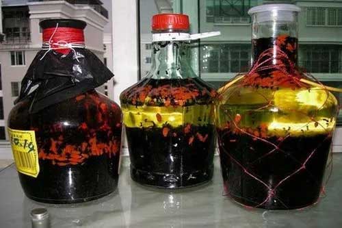 螞蟻補酒釀造工藝以及質量標準